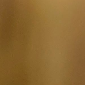 Meet your Posher, Jackson